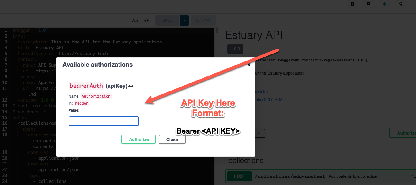 API Key placement